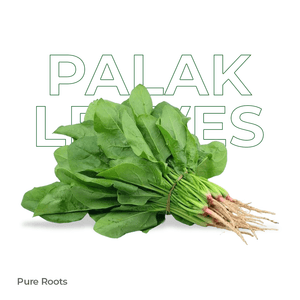 Organic Palak Leaves Organic Mandya