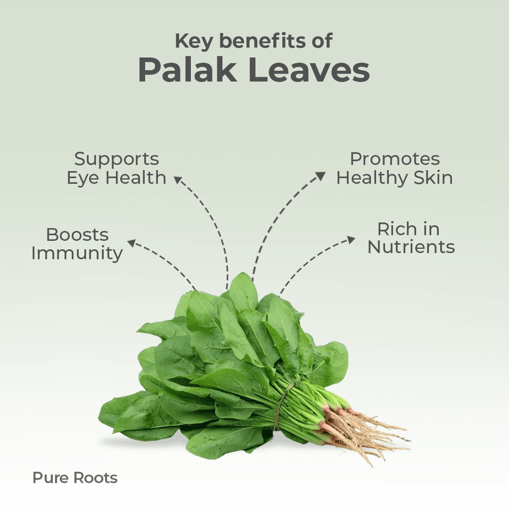 Organic Palak Leaves Organic Mandya