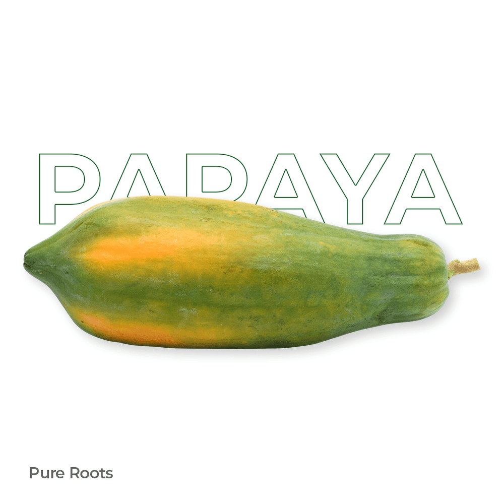 Organic Papaya (Semi Ripe) Organic Mandya