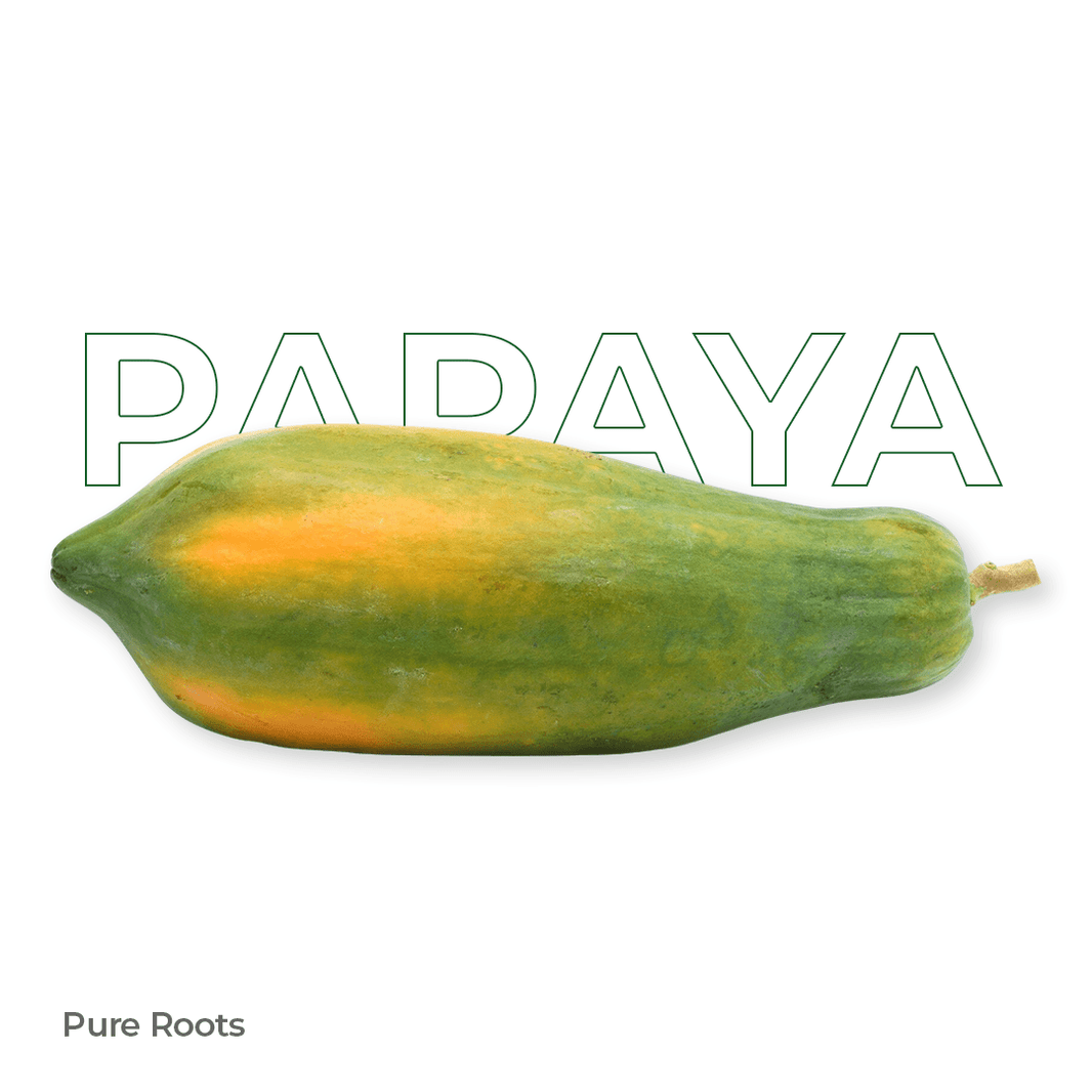 Organic Papaya (Semi Ripe) Organic Mandya