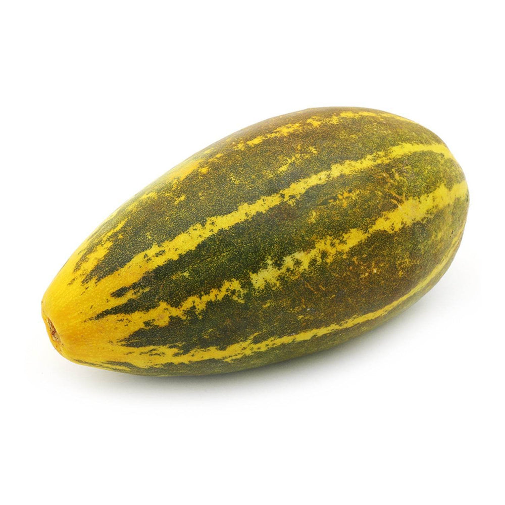 Organic sambar cucumber