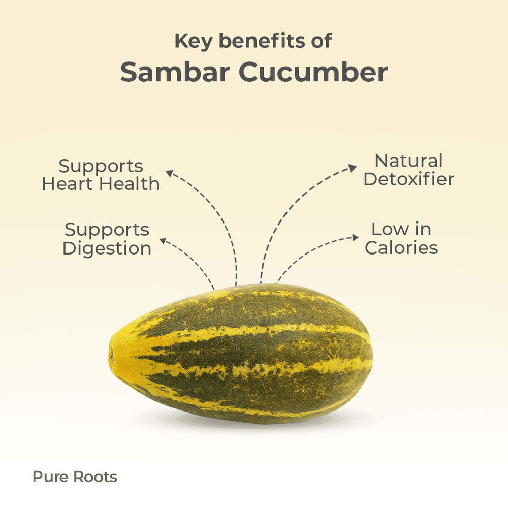 Organic Sambar Cucumber Organic Mandya