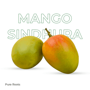 Organic Mango Sindhura Raw (Semi-ripe & mildly sweet) Organic Mandya