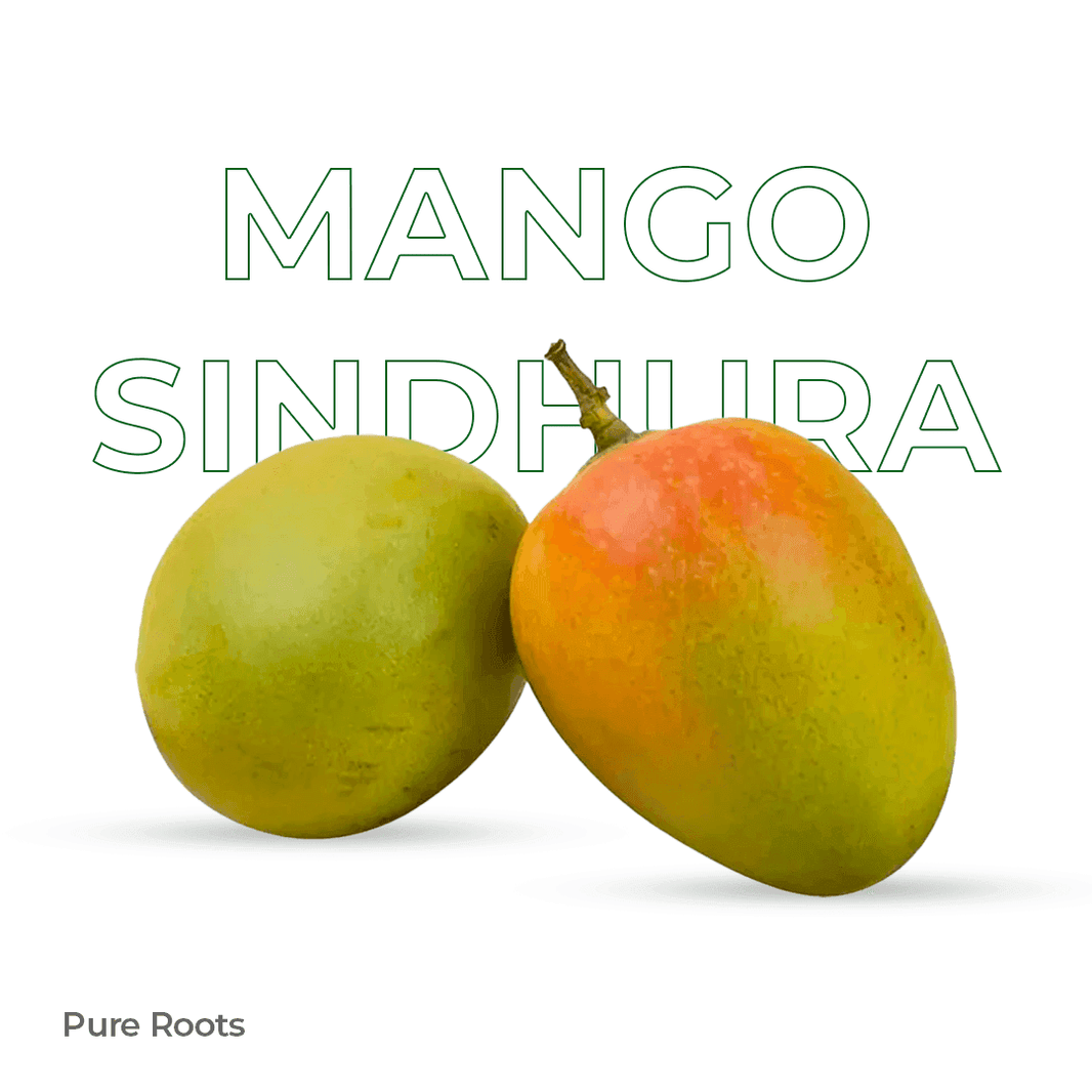 Organic Mango Sindhura Raw (Semi-ripe & mildly sweet) Organic Mandya