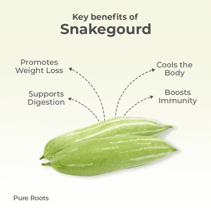 Organic Snakegourd Organic Mandya