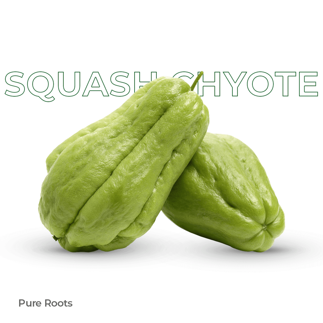Organic Squash Chyote (Chow Chow) Organic Mandya