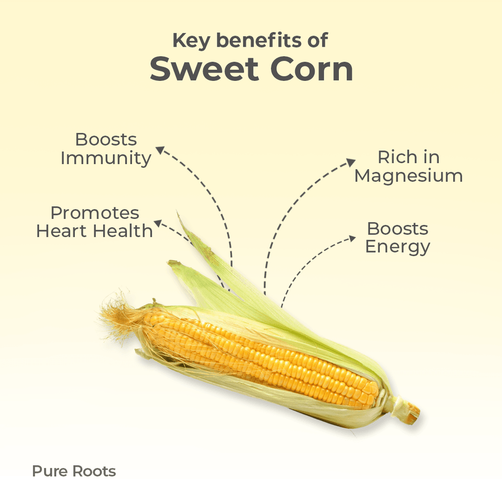 Organic Sweet Corn Organic Mandya