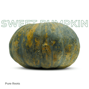 Organic Sweet Pumpkin Organic Mandya