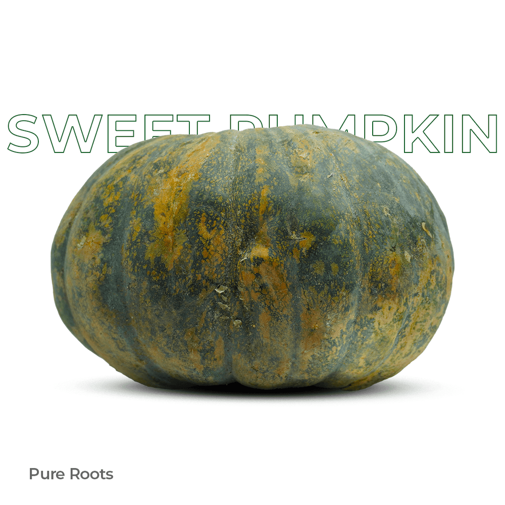 Organic Sweet Pumpkin Organic Mandya