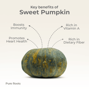 Organic Sweet Pumpkin Organic Mandya