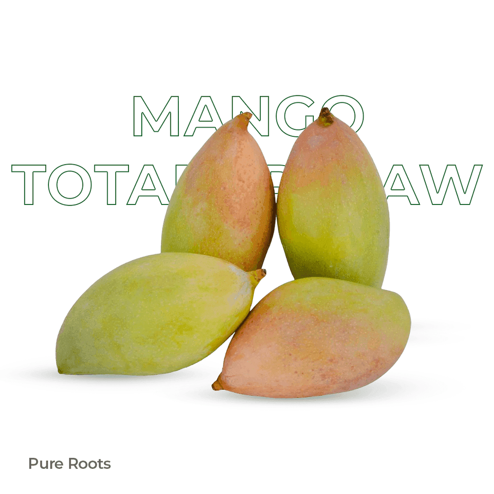 Organic Mango Totapuri Raw Organic Mandya
