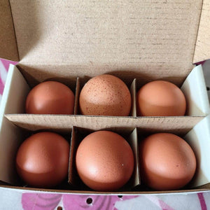Eggs - Brown Only For (Bengaluru) Organic Mandya
