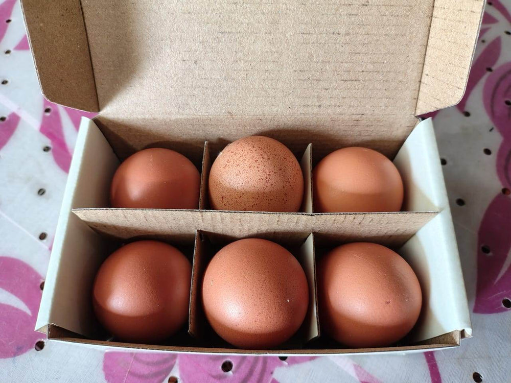 Eggs - Brown Only For (Bengaluru) Organic Mandya