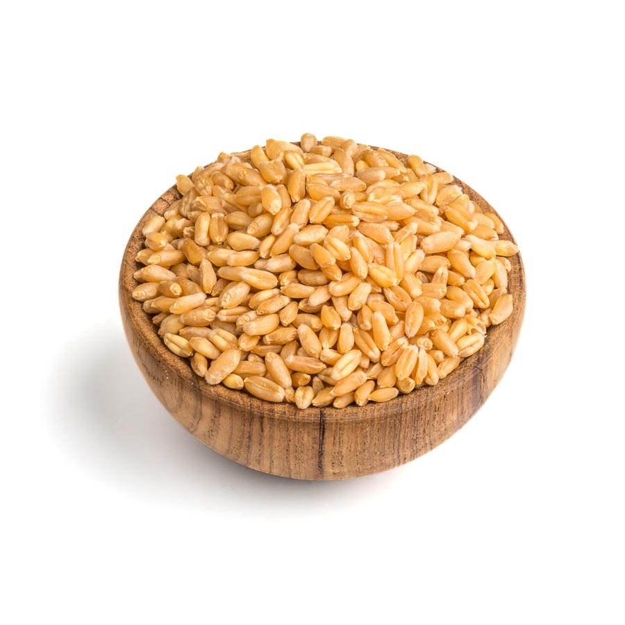 Organic wheat whole