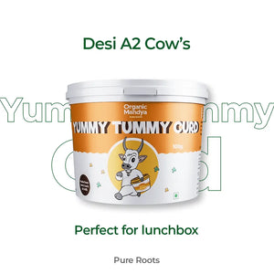 Set Curd for Lunch Box Organic Mandya