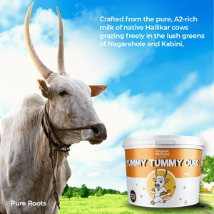 Set Curd for Lunch Box Organic Mandya