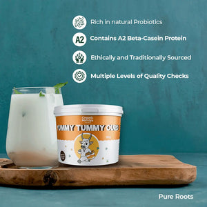 Set Curd for Lunch Box Organic Mandya