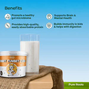 Set Curd for Lunch Box Organic Mandya