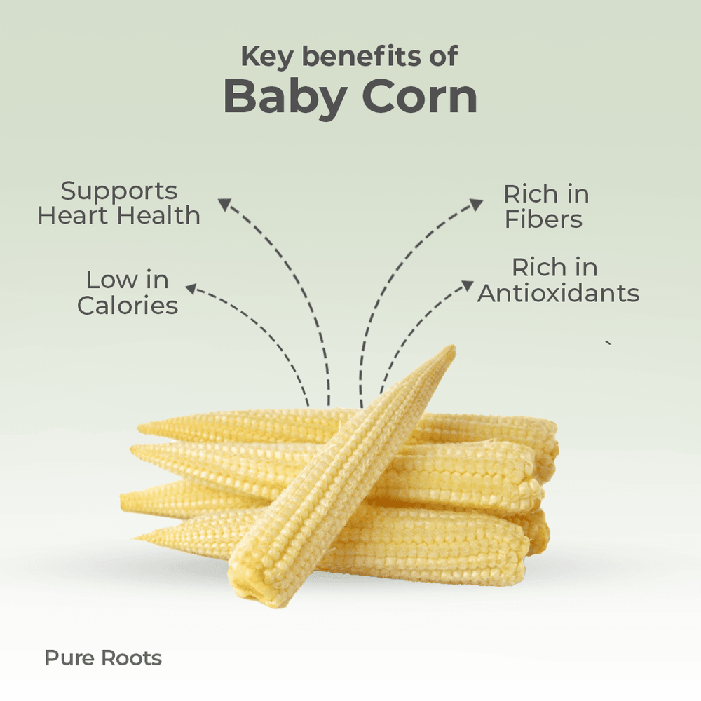 Organic Baby Corn Organic Mandya