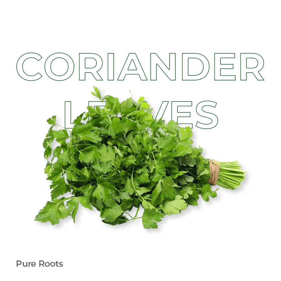 Organic Coriander Leaves Organic Mandya
