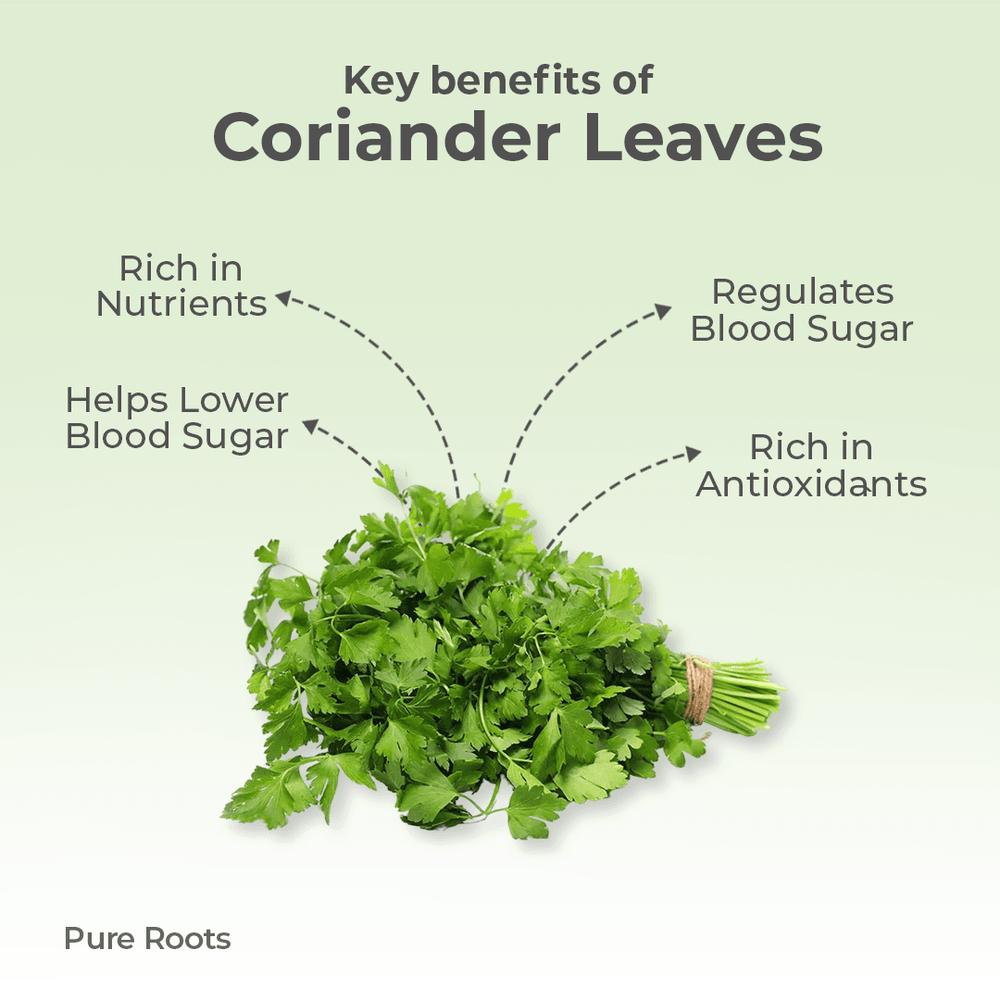 Organic Coriander Leaves Organic Mandya