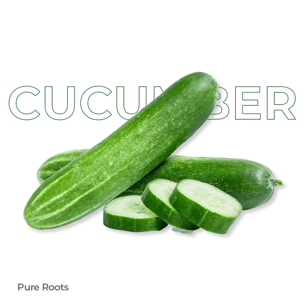 Organic Cucumber Organic Mandya