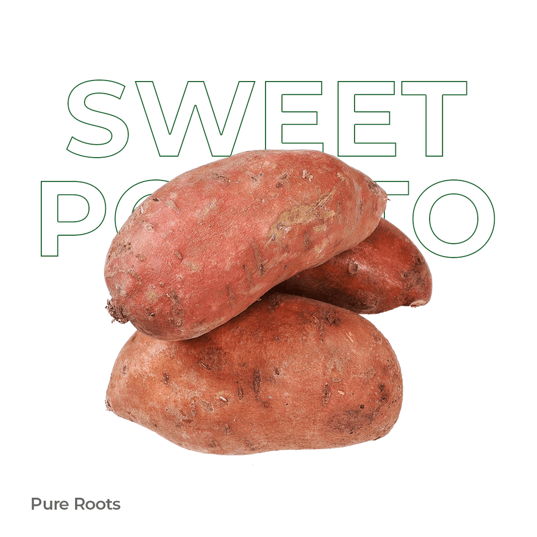 Organic Sweet Potato Organic Mandya