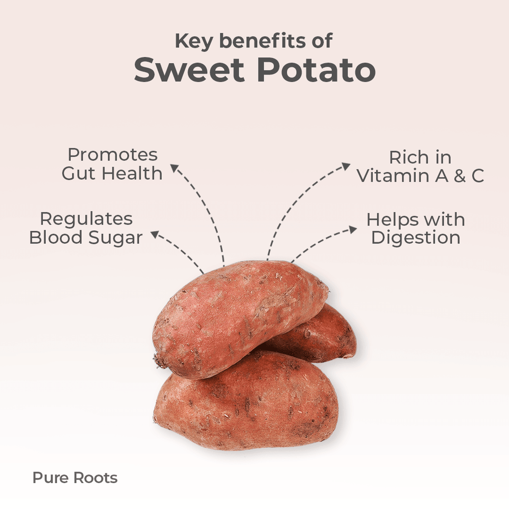 Organic Sweet Potato Organic Mandya